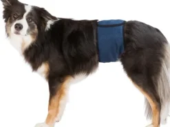 Trixie urosvyö, L - XL, tummansininen| Haavojen Hoito