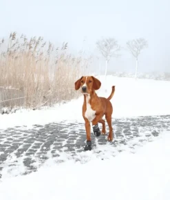 Trixie Koiran Tossut^Walker Active 2-Pack M-L -koirantossut