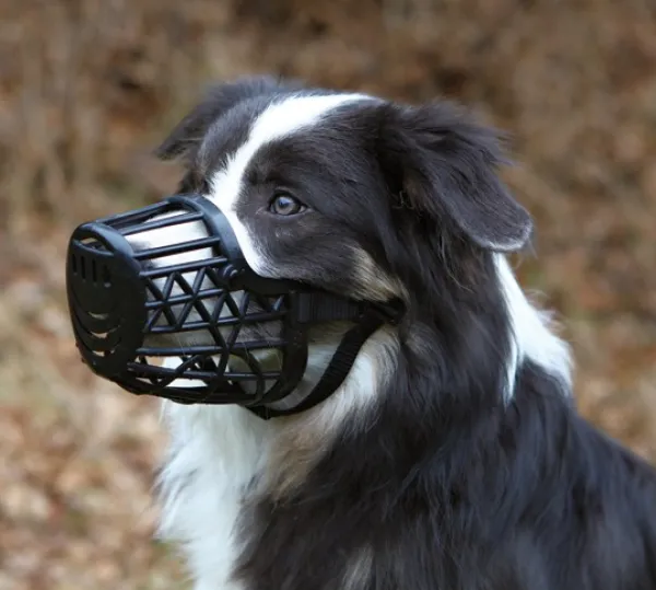 Trixie -kuonokoppa, XL| Kuonokopat