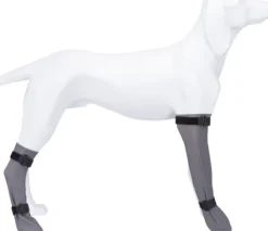 Trixie -suojasukka M| Koiran Tossut