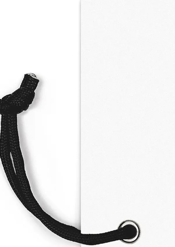 WESN Veitsenteroittimet^Pocket Sharpner hiomakivi