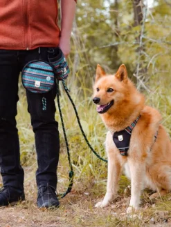 Woolly Wolf Harness koiran valjaat, XS - S, Woodland| Valjaat