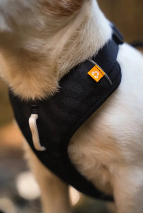 Woolly Wolf Roam Harness koirien valjaat, XL, musta| Valjaat