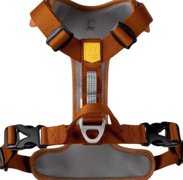Woolly Wolf Roam Harness koirien valjaat, XS, oranssi| Valjaat