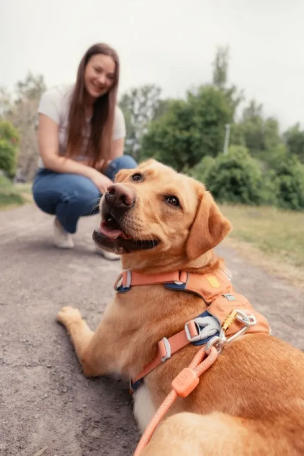Woolly Wolf Taluttimet^Rope Leash köysihihna, 10 mm, vaaleanminttu