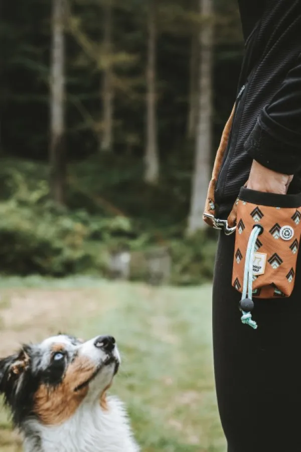 Woolly Wolf Makupalat^Snack Bag koiran makupalapussi, Sea to Summit