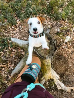 Woolly Wolf Snack Bag koiran makupalapussi, Woodland| Makupalat