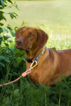 Woolly Wolf Taluttimet^talutushihna, 10 mm, Salmon Pink